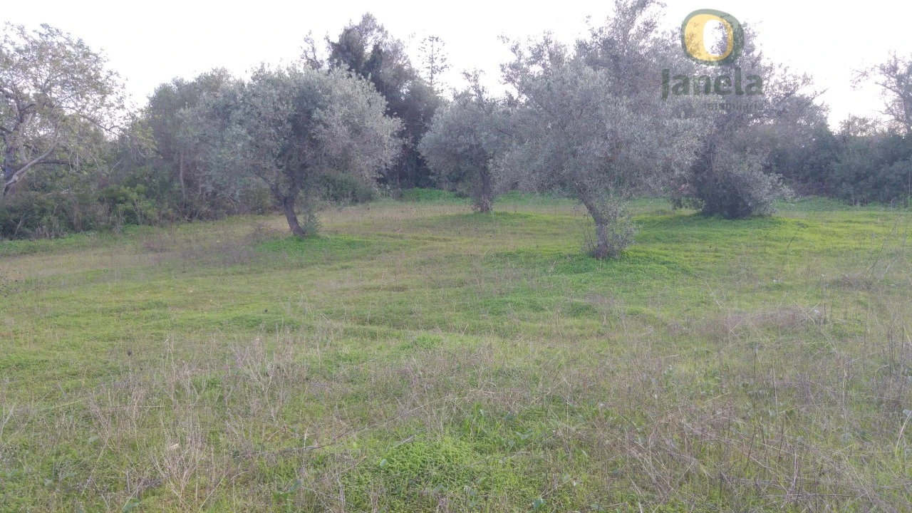 Terreno para Venda em Pechão Foto 1
