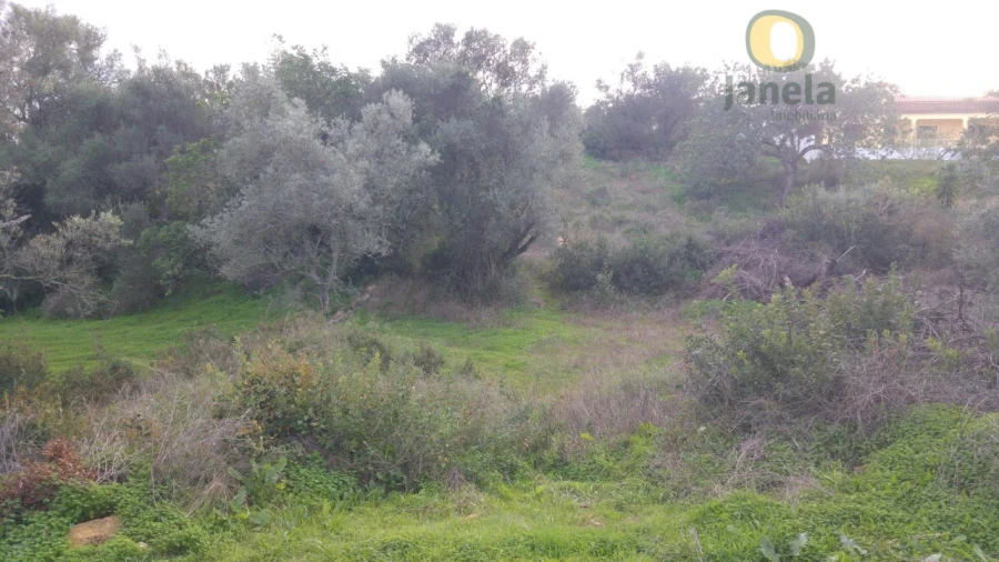 Terreno para Venda em Pechão Foto 3