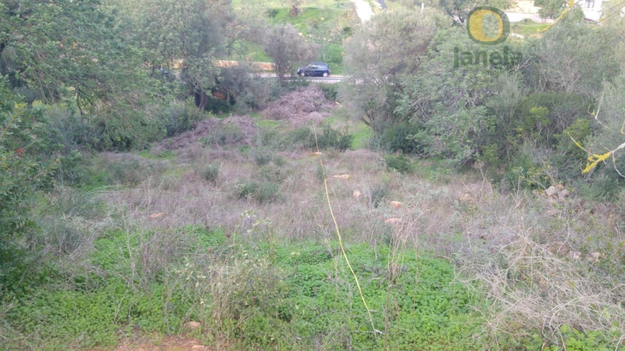 Terreno para Venda em Pechão Foto 6