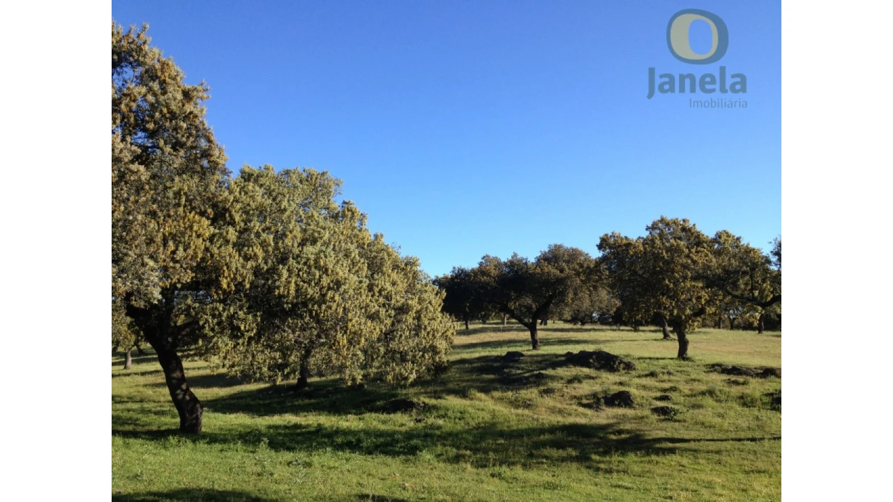 Quinta T3 para Venda em Almodôvar e Graça dos Padrões Foto 6