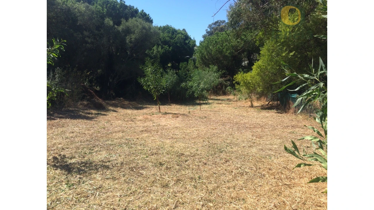 Terreno para Venda em Albufeira e Olhos de Água Foto 3