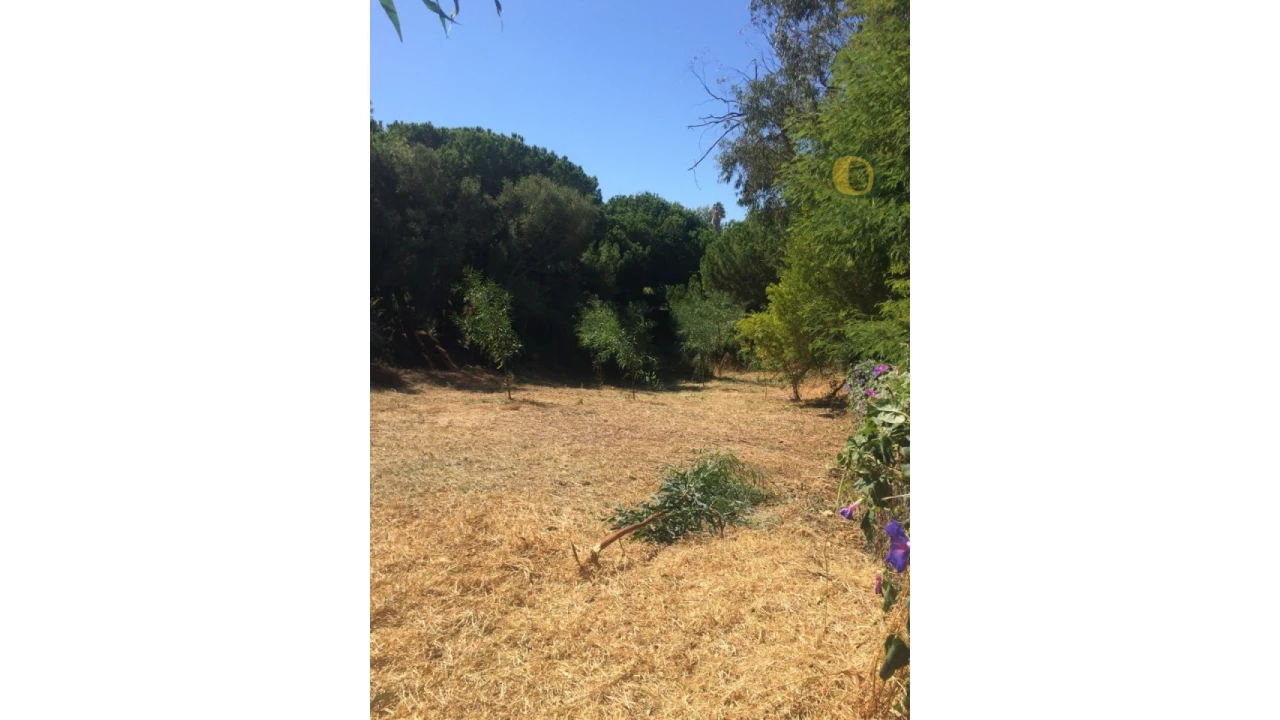 Terreno para Venda em Albufeira e Olhos de Água Foto 14