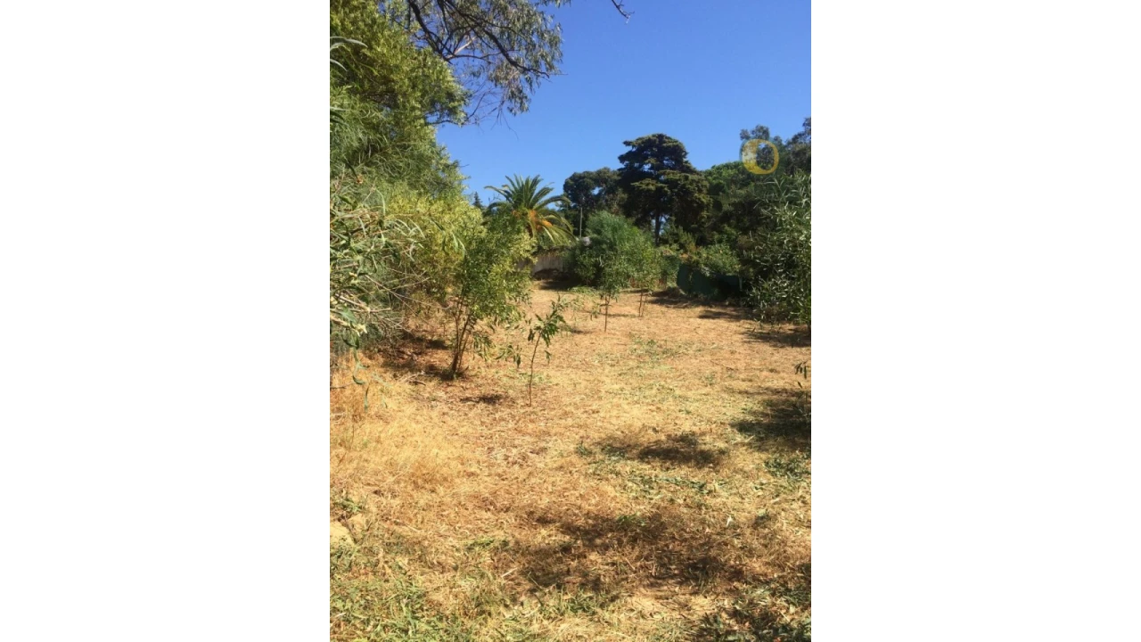 Terreno para Venda em Albufeira e Olhos de Água Foto 15