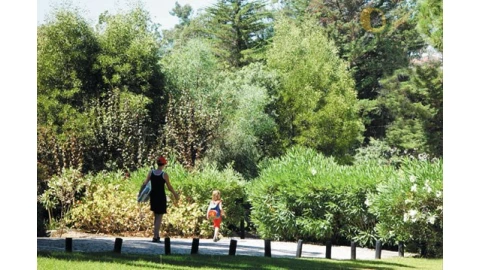 Terreno para Venda em Albufeira e Olhos de Água