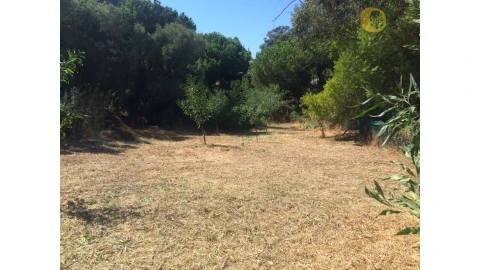 Terreno para Venda em Albufeira e Olhos de Água