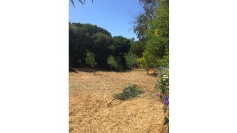 Terreno para Venda em Albufeira e Olhos de Água