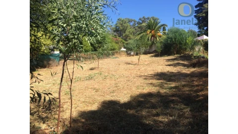 Terreno para Venda em Albufeira e Olhos de Água