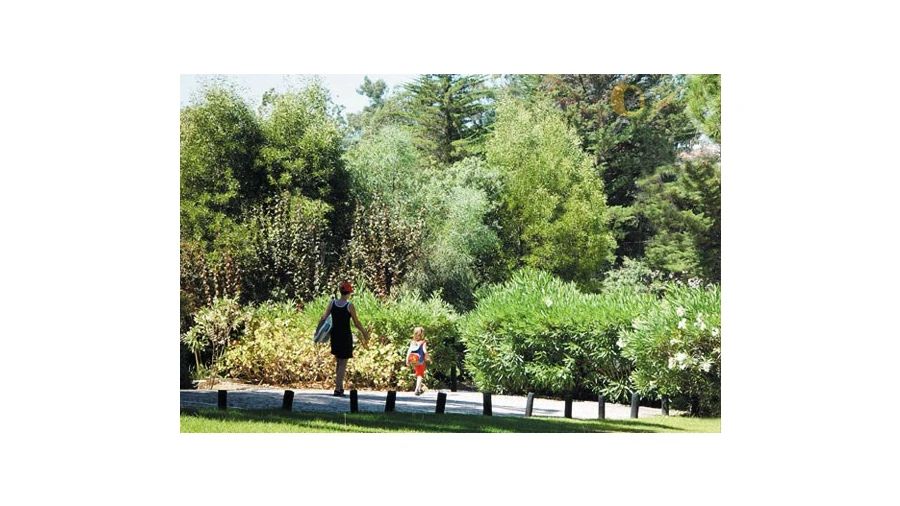 Terreno para Venda em Albufeira e Olhos de Água Foto 6