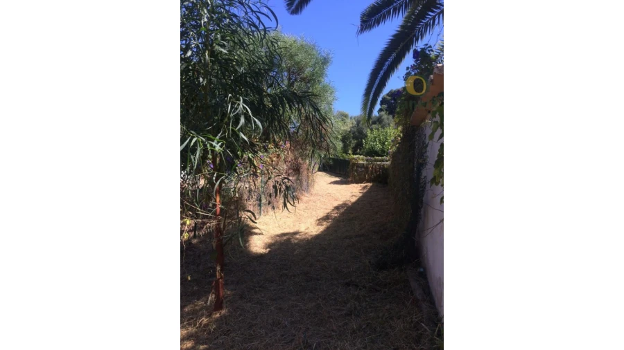 Terreno para Venda em Albufeira e Olhos de Água Foto 13