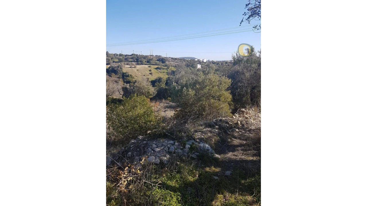 Quinta T3 para Venda em Loule (São Sebastião) Foto 5