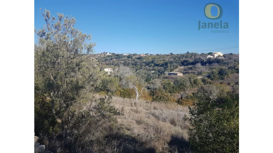 Quinta T3 para Venda em Loule (São Sebastião) Foto 4