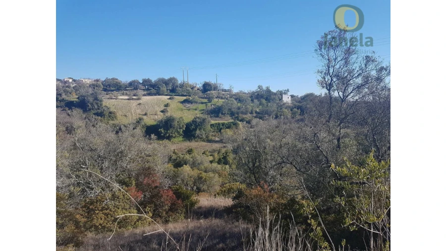 Quinta T3 para Venda em Loule (São Sebastião) Foto 12