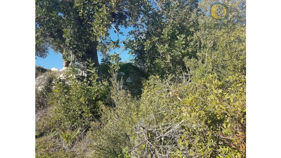 Quinta T3 para Venda em Loule (São Sebastião) Foto 20