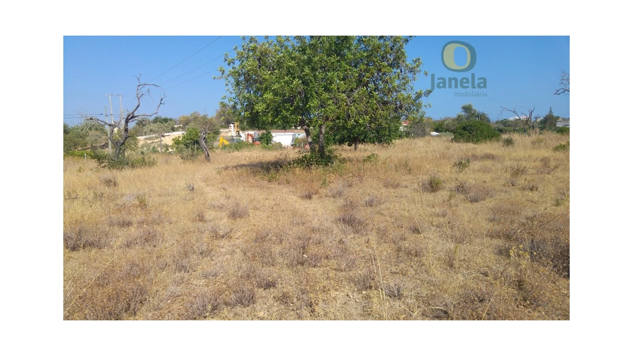 Terreno Agricola ou Rústico para Venda em Quelfes Foto 1