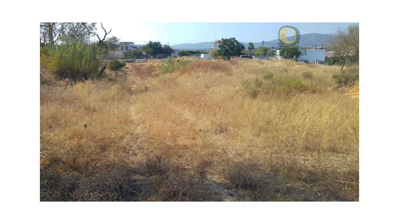 Terreno Agricola ou Rústico para Venda em Quelfes Foto 5