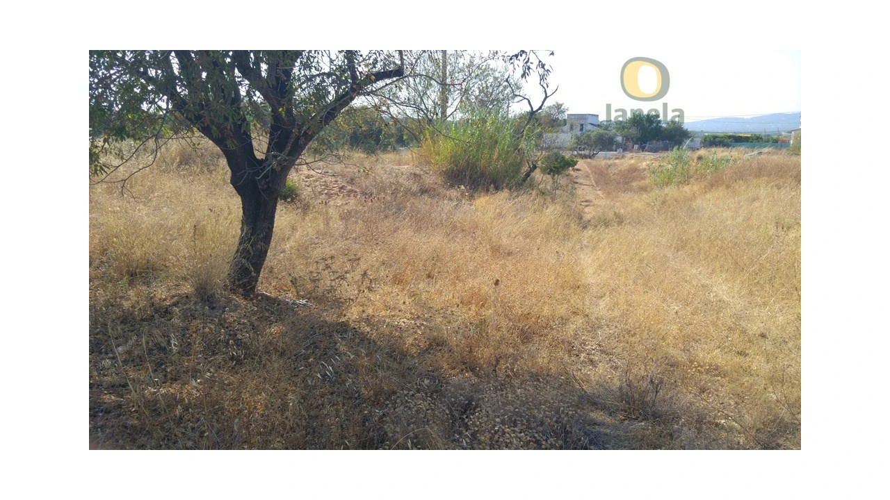 Terreno Agricola ou Rústico para Venda em Quelfes Foto 6