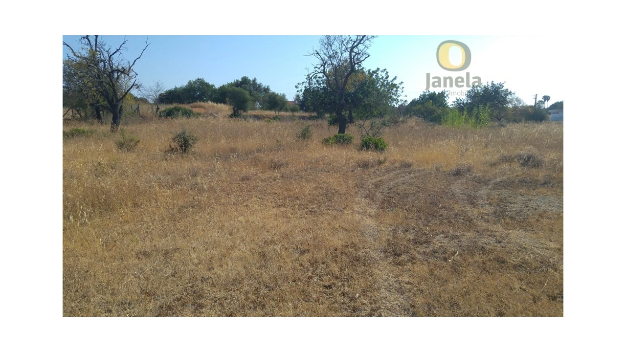 Terreno Agricola ou Rústico para Venda em Quelfes Foto 8