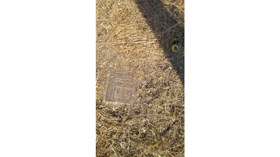 Terreno Agricola ou Rústico para Venda em Quelfes Foto 3