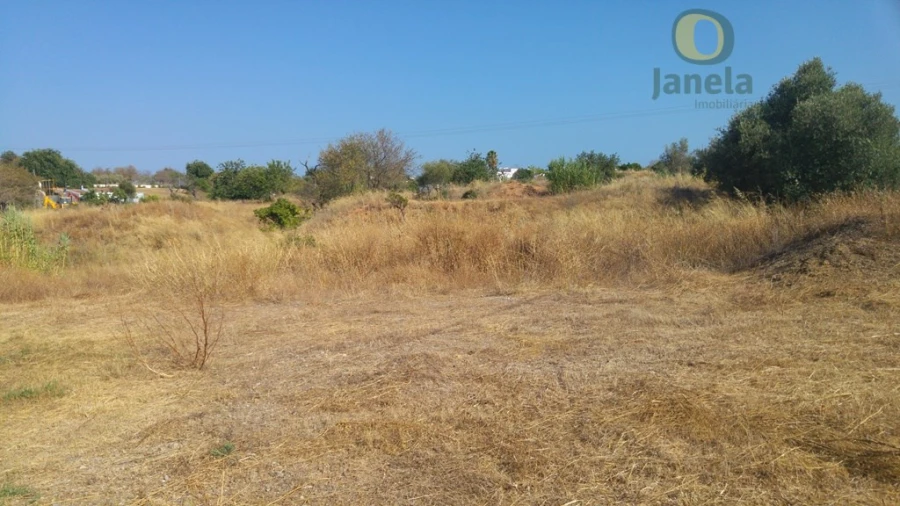 Terreno Agricola ou Rústico para Venda em Quelfes Foto 4