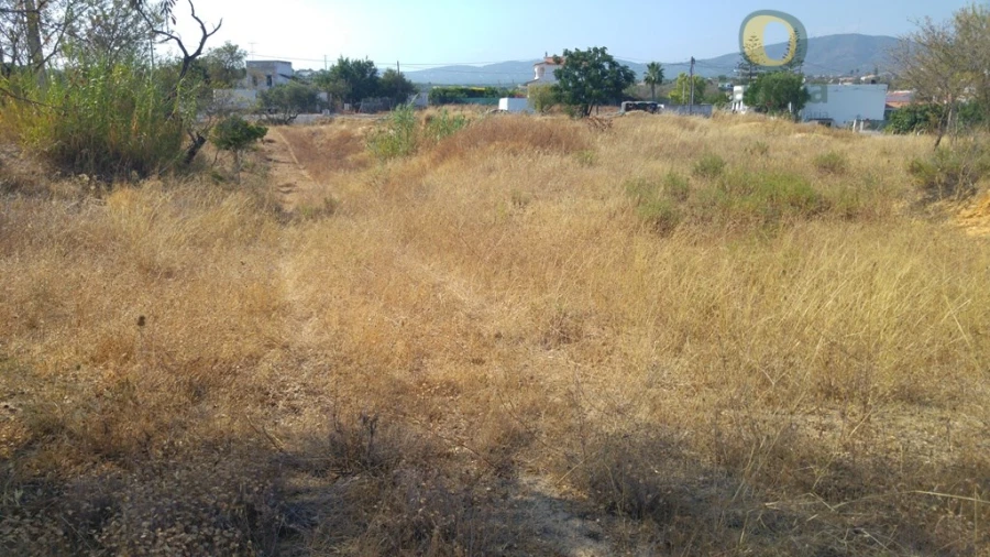 Terreno Agricola ou Rústico para Venda em Quelfes Foto 5