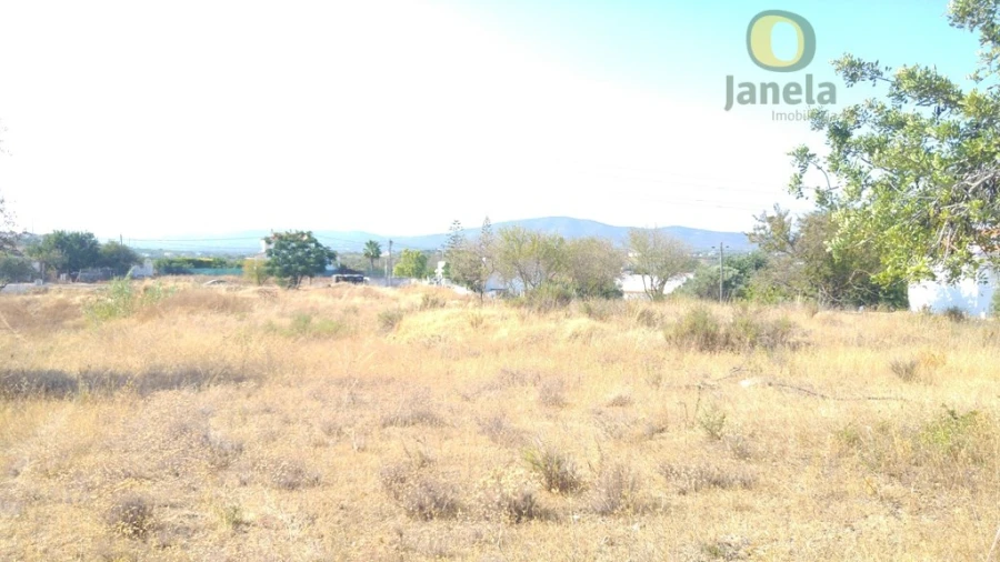 Terreno Agricola ou Rústico para Venda em Quelfes Foto 7