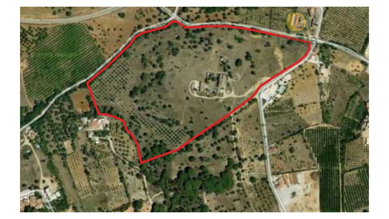 Quinta T20 para Venda em Boliqueime Foto 12