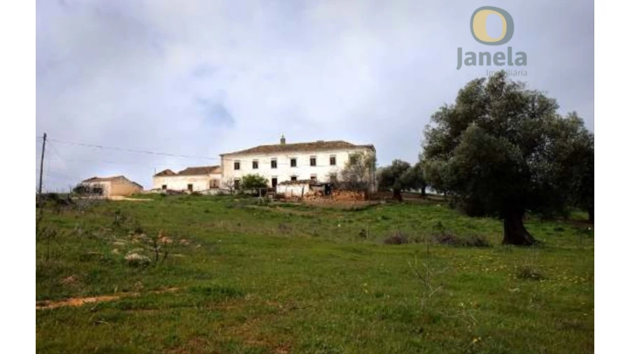 Quinta T20 para Venda em Boliqueime Foto 3