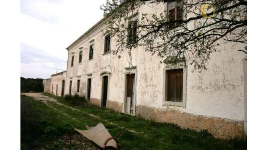 Quinta T20 para Venda em Boliqueime Foto 7