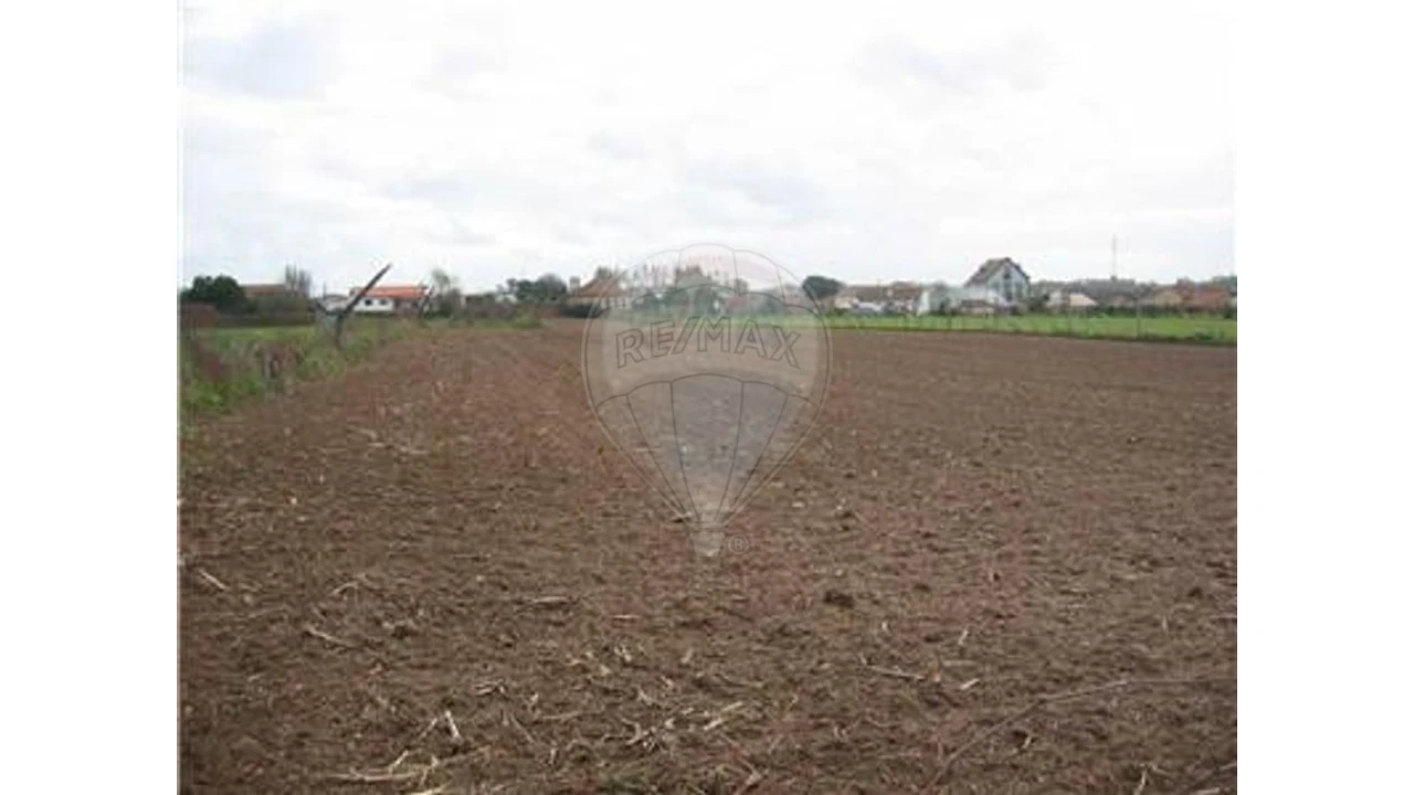 Terreno para Venda em Ovar, São João, Arada e São Vicente de Pereira Jusã Foto 6