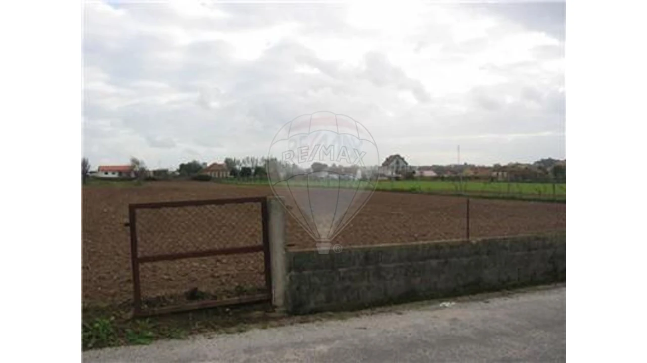 Terreno para Venda em Ovar, São João, Arada e São Vicente de Pereira Jusã Foto 2