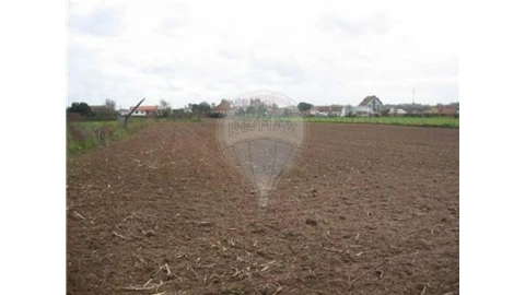Terreno para Venda em Ovar, São João, Arada e São Vicente de Pereira Jusã