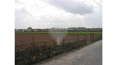 Terreno para Venda em Ovar, São João, Arada e São Vicente de Pereira Jusã