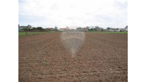 Terreno para Venda em Ovar, São João, Arada e São Vicente de Pereira Jusã