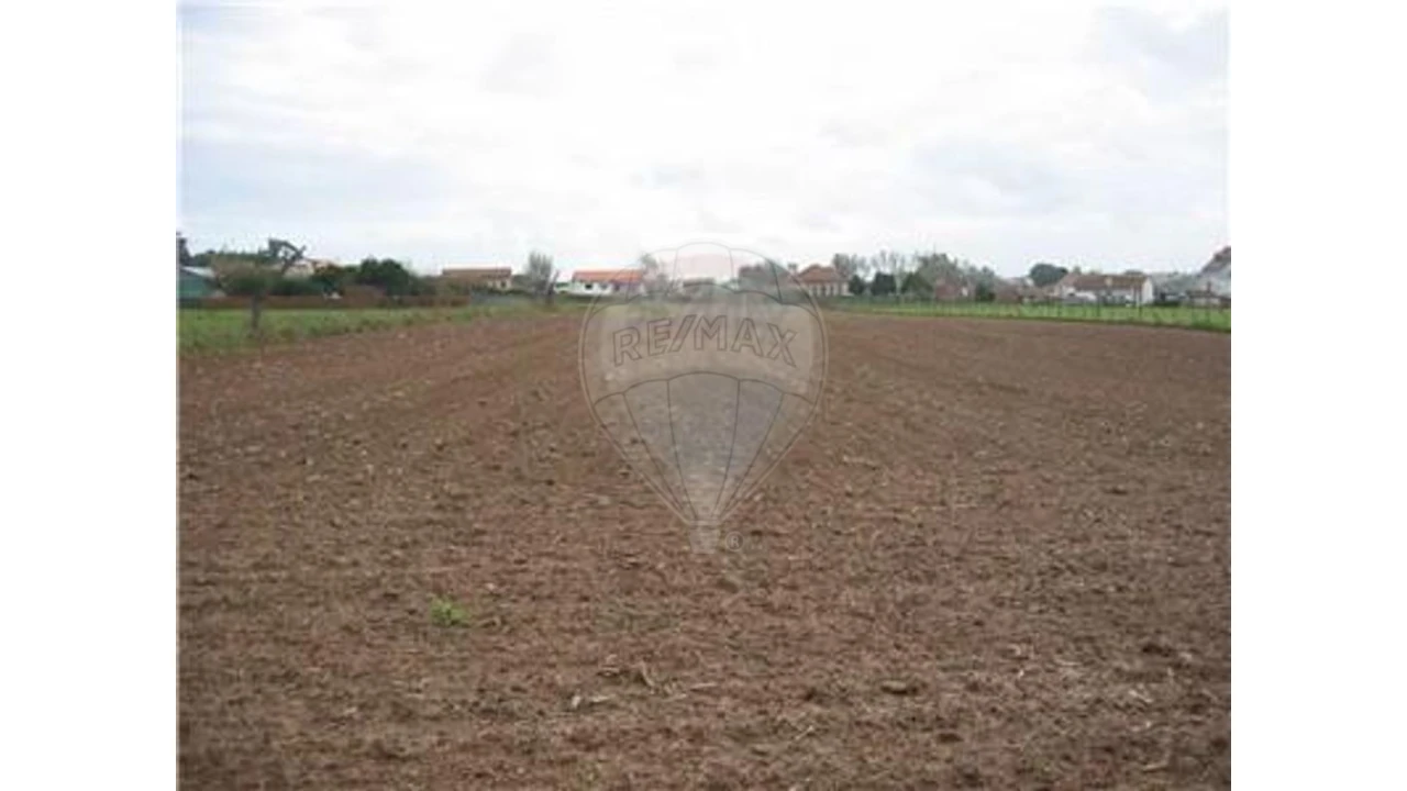 Terreno para Venda em Ovar, São João, Arada e São Vicente de Pereira Jusã Foto 5