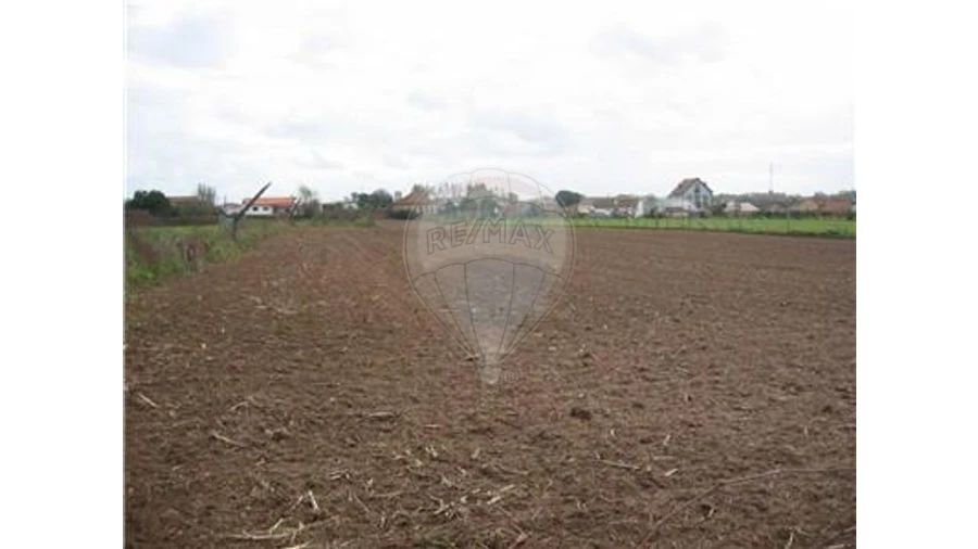 Terreno para Venda em Ovar, São João, Arada e São Vicente de Pereira Jusã Foto 6