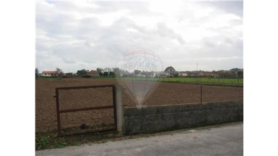 Terreno para Venda em Ovar, São João, Arada e São Vicente de Pereira Jusã Foto 2