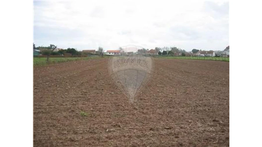 Terreno para Venda em Ovar, São João, Arada e São Vicente de Pereira Jusã Foto 5