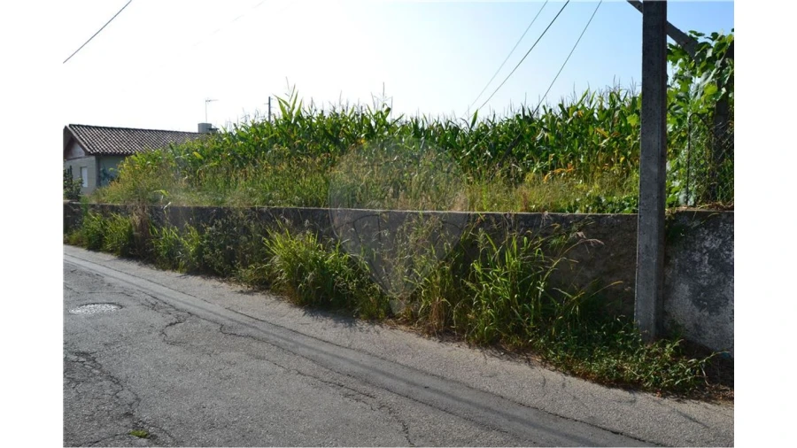 Terreno para Venda em São Miguel do Souto e Mosteirô Foto 5