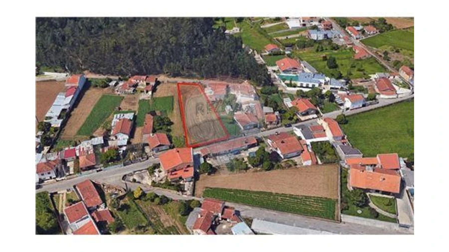 Terreno para Venda em São Miguel do Souto e Mosteirô Foto 2