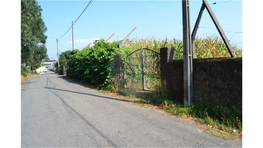 Terreno para Venda em São Miguel do Souto e Mosteirô Foto 8