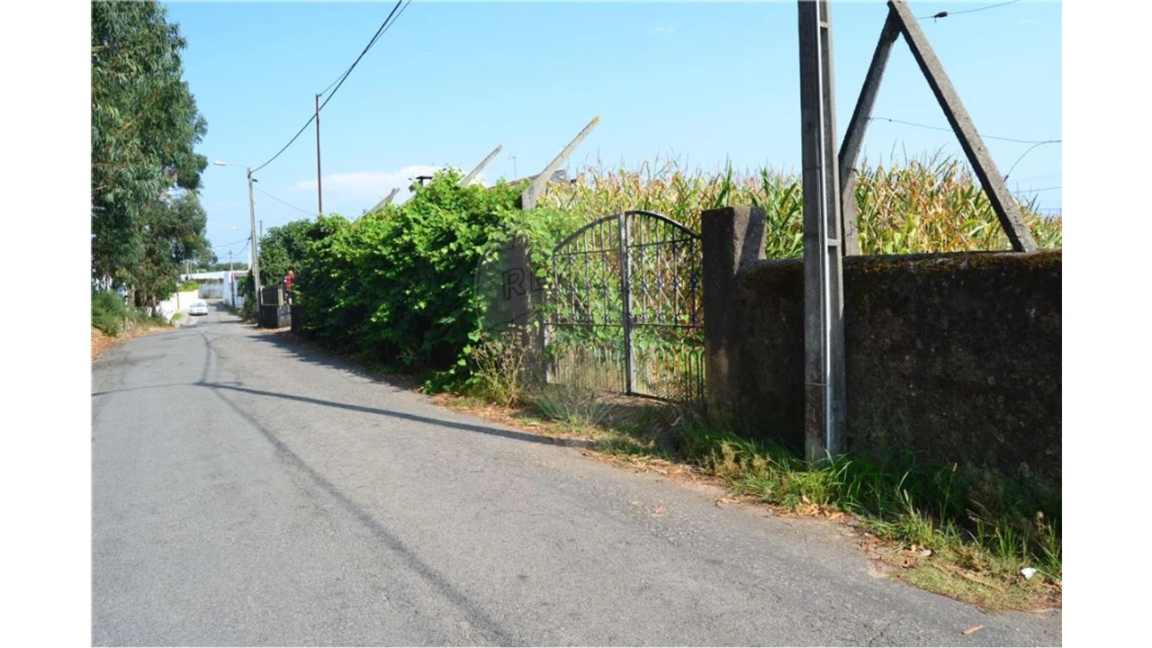 Terreno para Venda em São Miguel do Souto e Mosteirô Foto 8