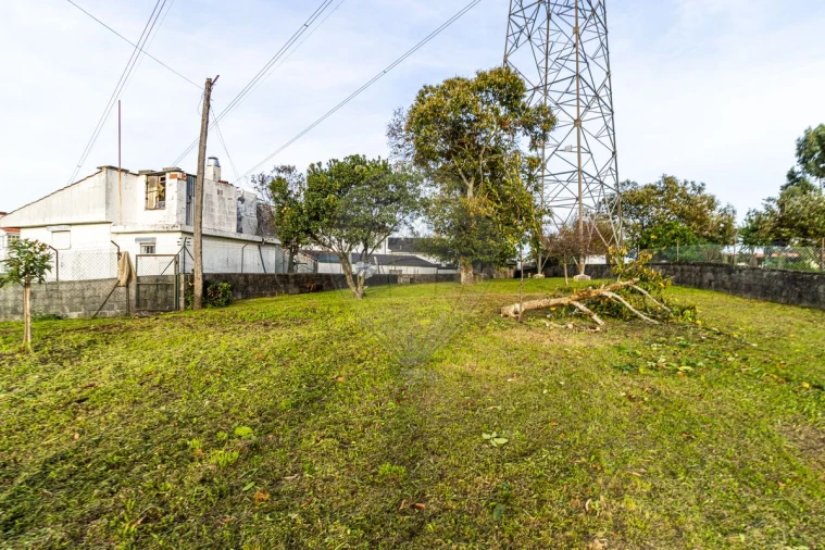 Terreno para Venda em Lobão, Gião, Louredo e Guisande Foto 15