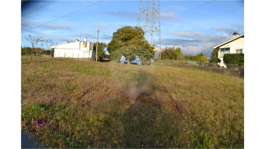 Terreno para Venda em Lobão, Gião, Louredo e Guisande Foto 3