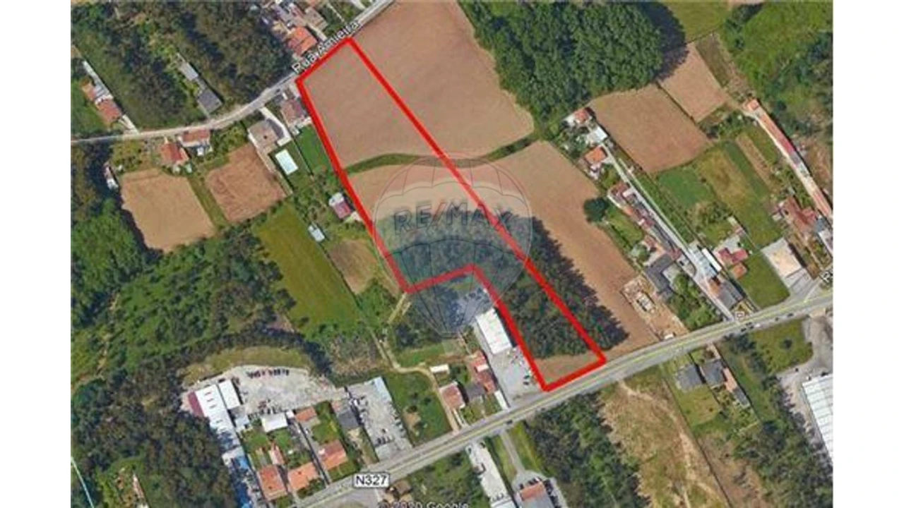 Terreno para Venda em São Miguel do Souto e Mosteirô Foto 1