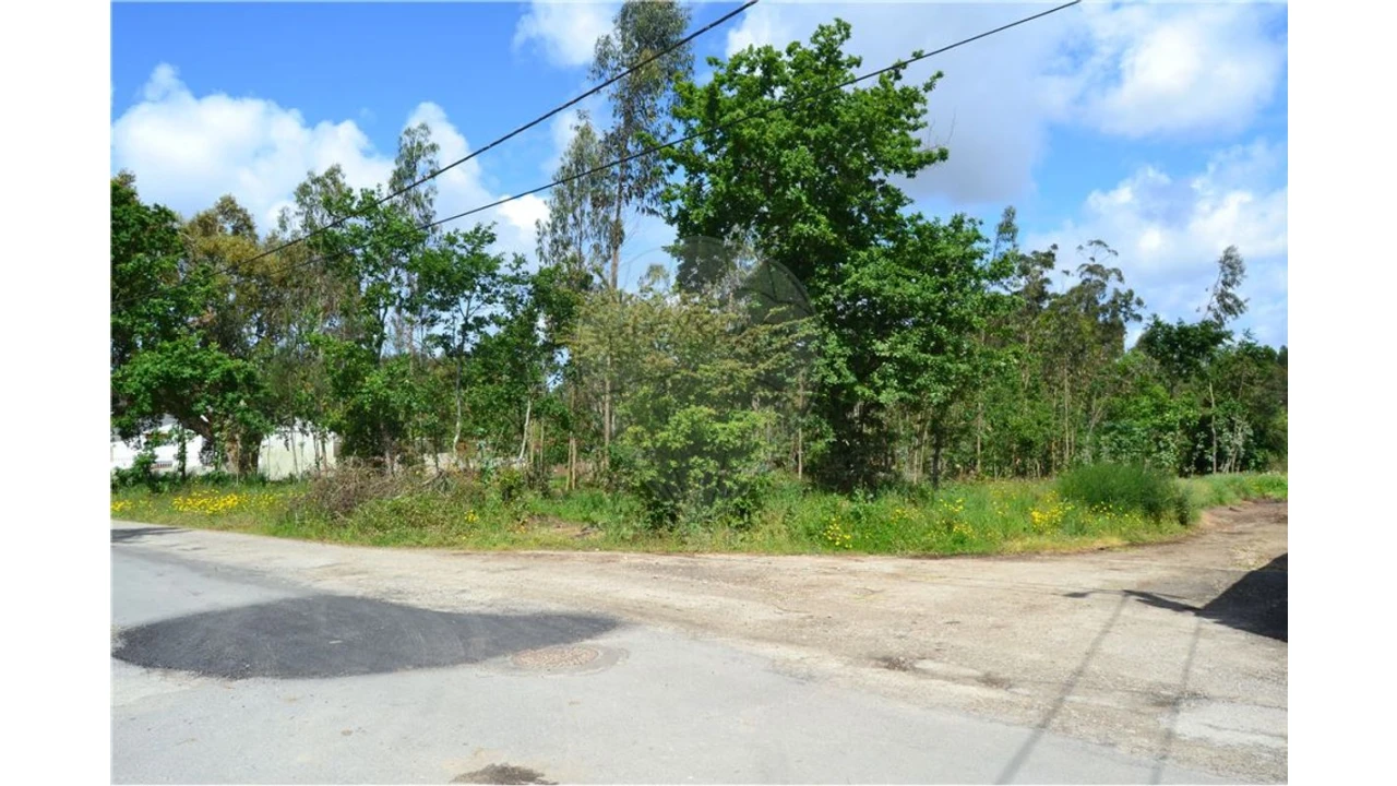 Terreno para Venda em Valega Foto 4