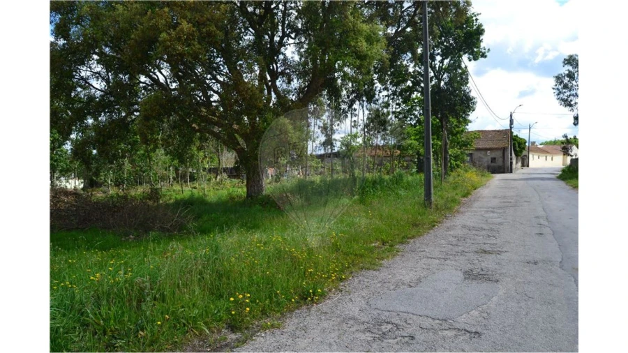 Terreno para Venda em Valega Foto 2