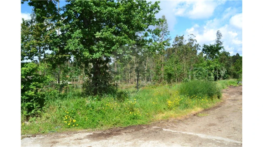 Terreno para Venda em Valega Foto 3