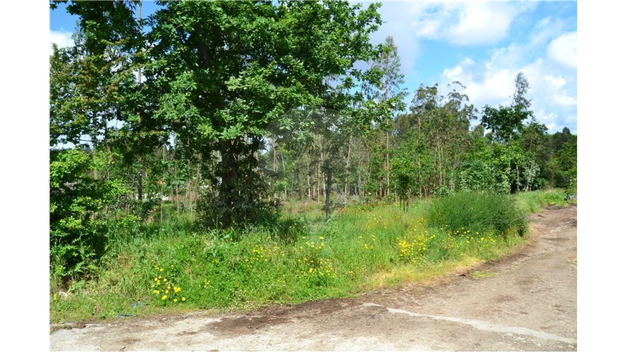 Terreno para Venda em Valega Foto 3