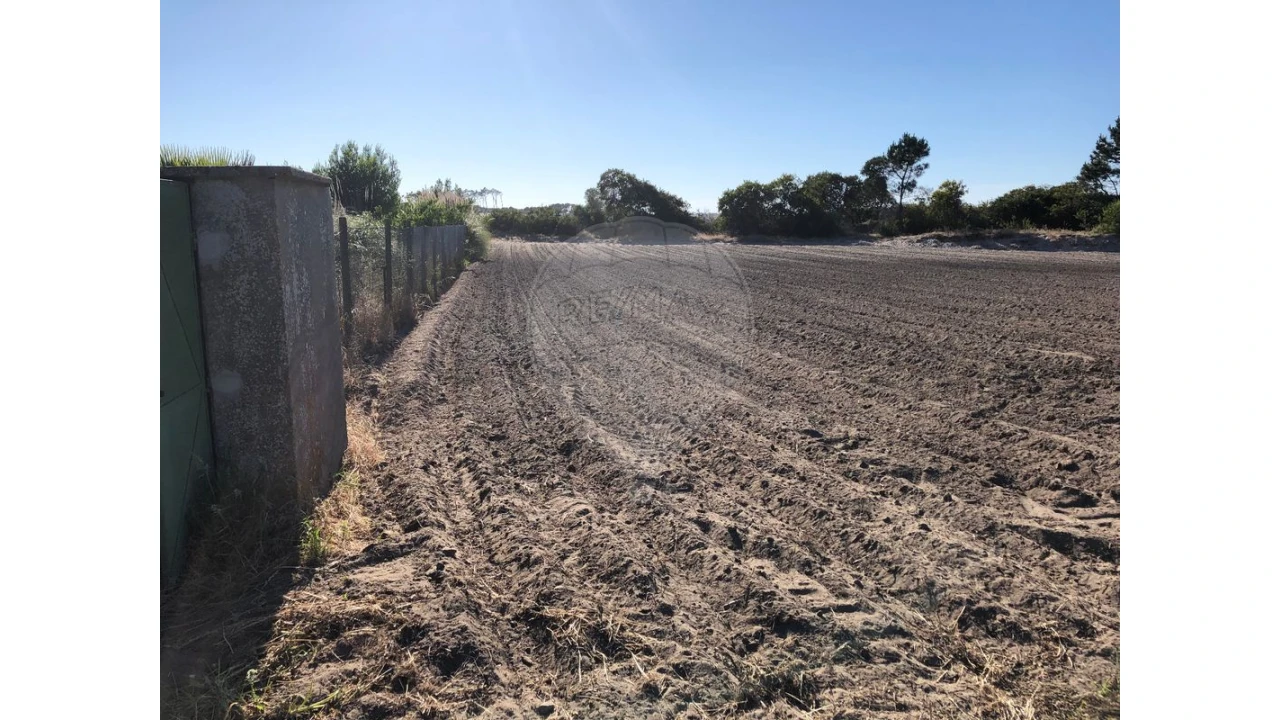 Terreno para Venda em Ovar, São João, Arada e São Vicente de Pereira Jusã Foto 6