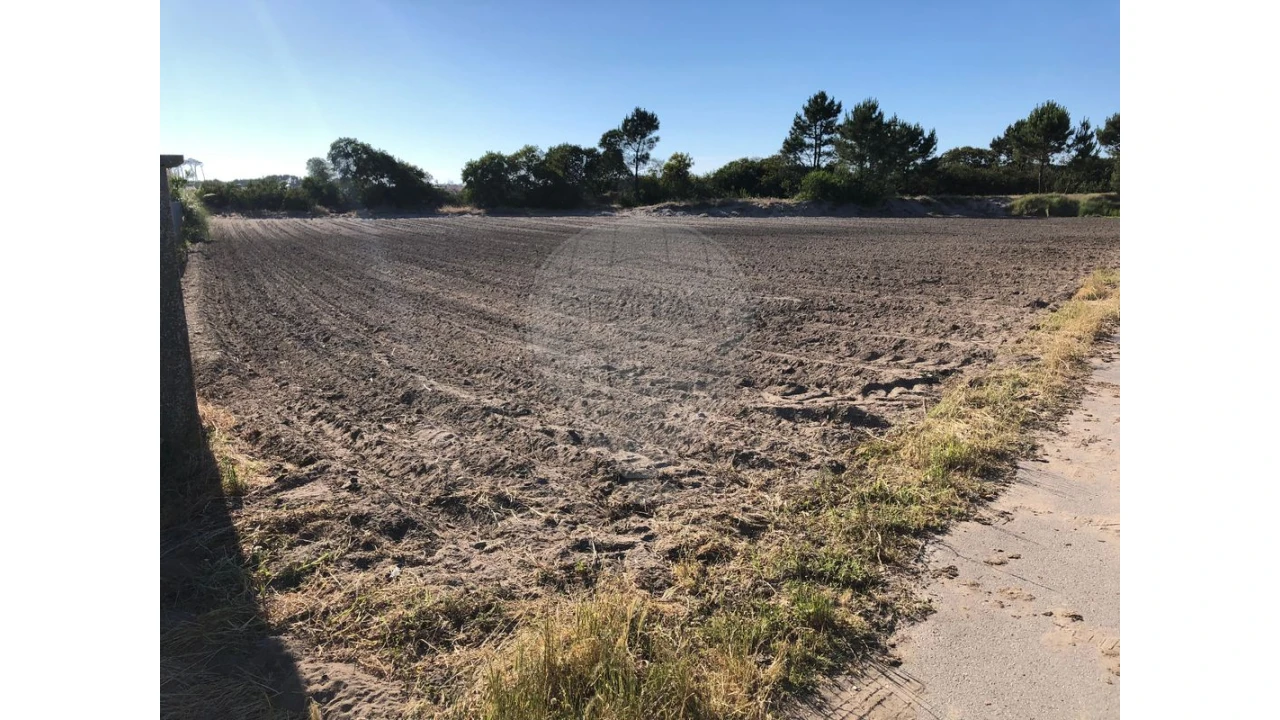 Terreno para Venda em Ovar, São João, Arada e São Vicente de Pereira Jusã Foto 10